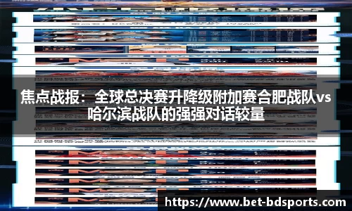 半岛体育公司